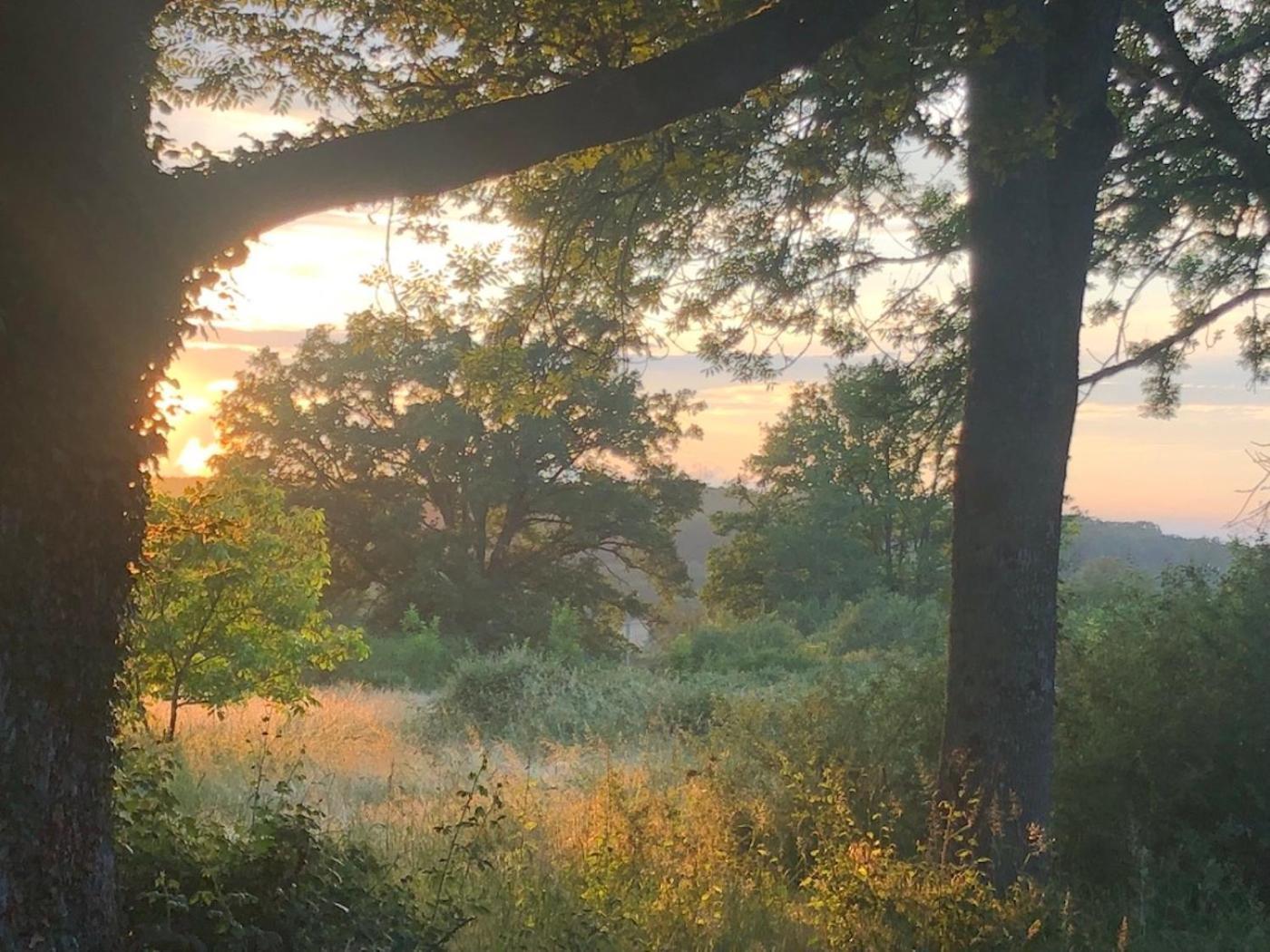 Domaine La Faix, Gite La Chouette Saint-Plaisir Esterno foto