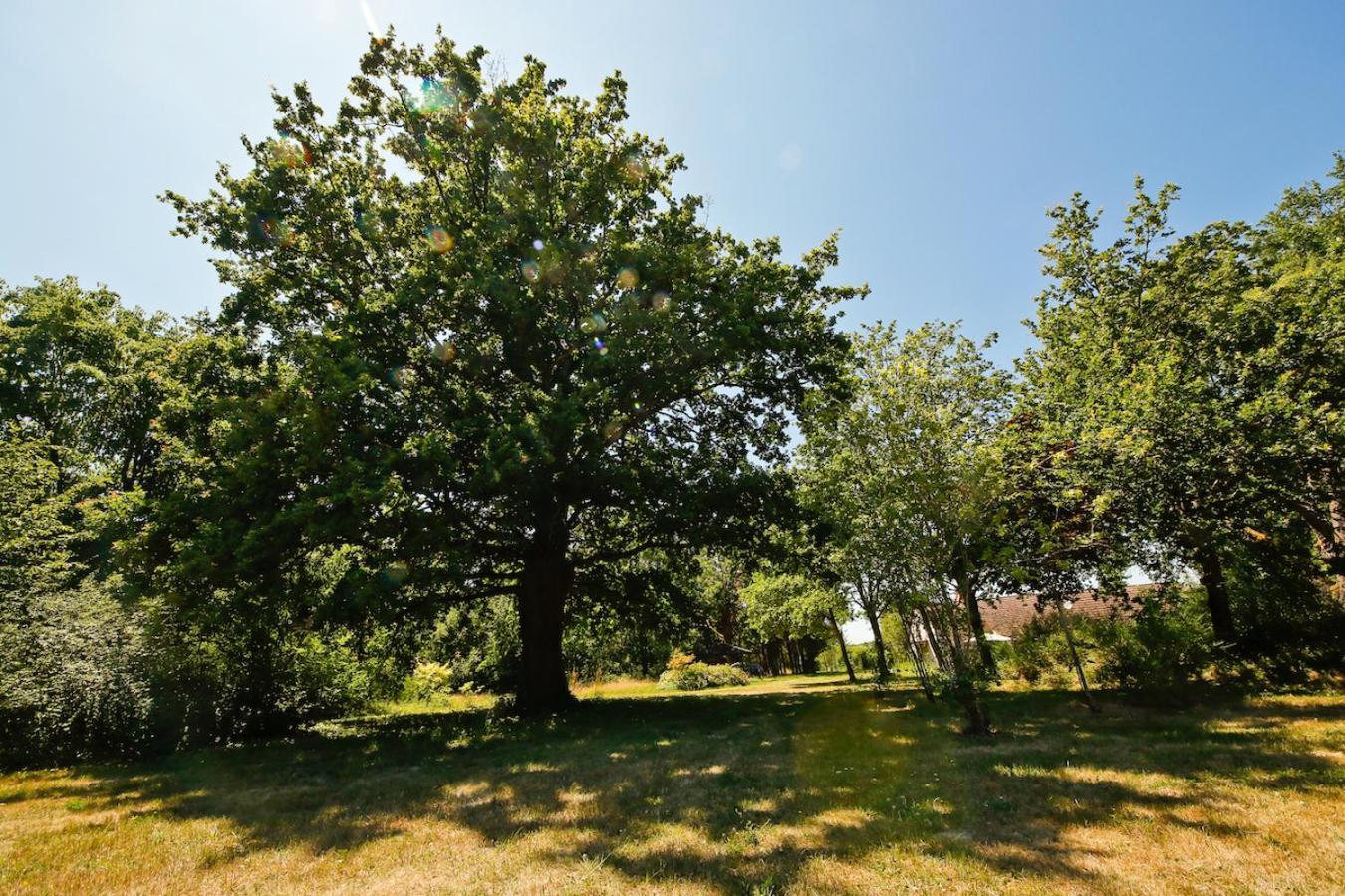 Domaine La Faix, Gite La Chouette Saint-Plaisir Esterno foto