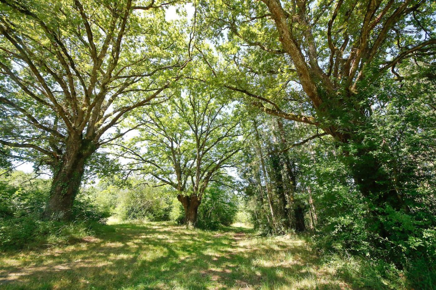 Domaine La Faix, Gite La Chouette Saint-Plaisir Esterno foto