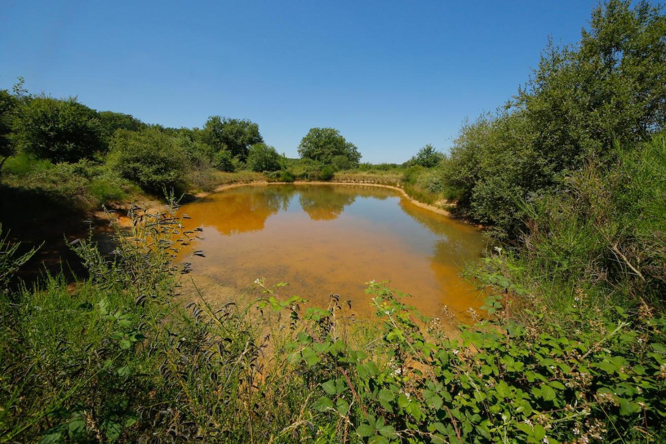 Domaine La Faix, Gite La Chouette Saint-Plaisir Esterno foto